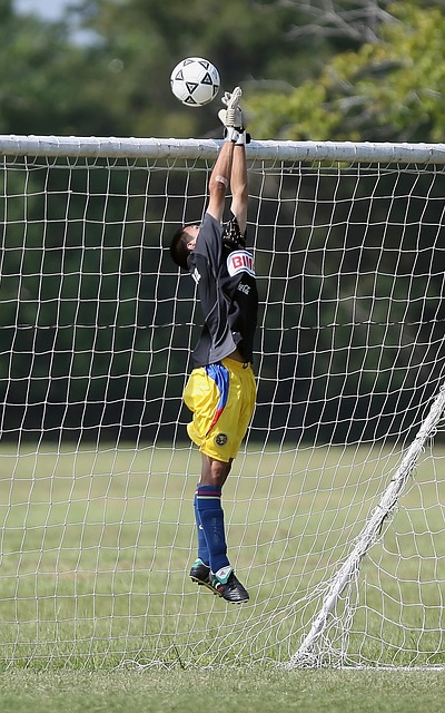 升起的新星 升起的新星