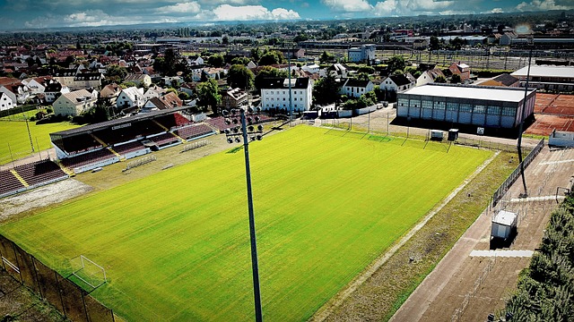 这位年轻的 这位年轻的